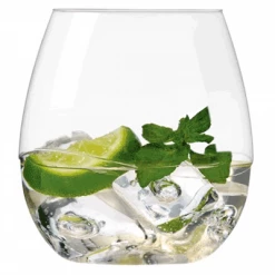 Takeya Swirl Plastic Wine & Cocktail Tumblers (Set Of 6)