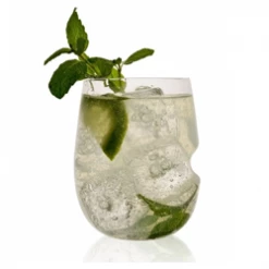 Govino Go Anywhere Shatterproof Cocktail Glasses (Set Of 4)