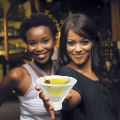 Shopwinestuff Other Barbozzo Mini Martini Glass Ice Molds