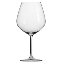 Schott Zwiesel Forte Burgundy Wine Glasses (Set Of 6) Schott Zwiesel Glassware