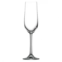Stolzle Stoelzle Oberglas Champagne Glasses (Set Of 6)